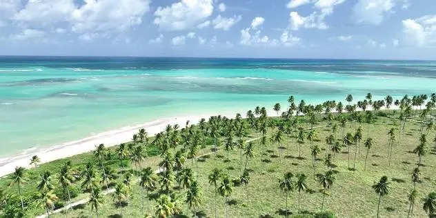Vista de Maragogi & Ruta de los Milagres