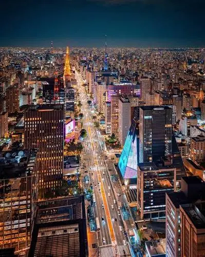 Vista de São Paulo